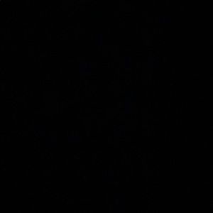 Meet your Posher, Destiny